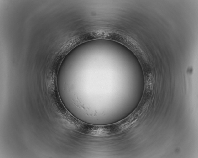 X0000096130460200801251021