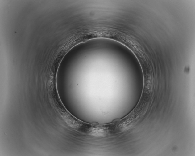 X0000096130461200801251021