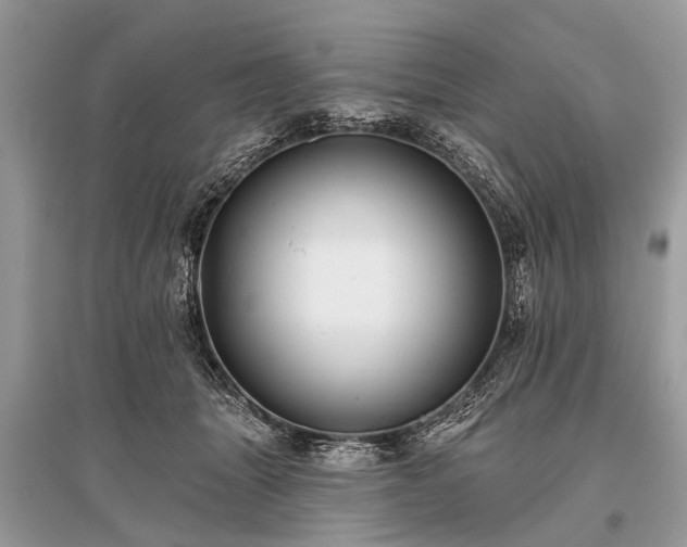 X0000096130463200801251021