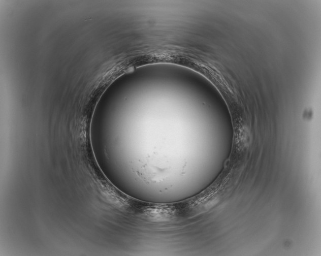 X0000096130466200801251021
