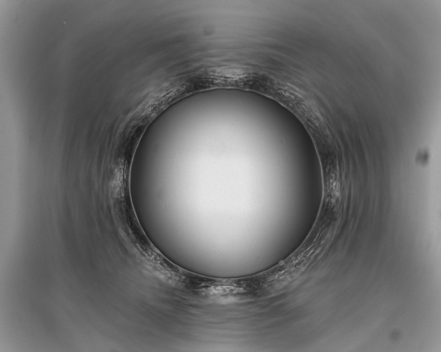 X0000096130468200801251021