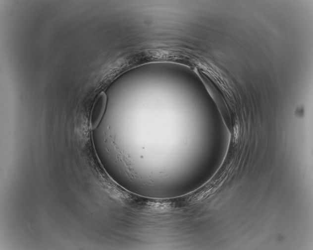 X0000096130469200801251021