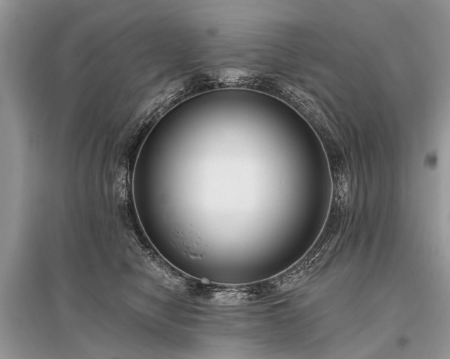 X0000096130470200801251021