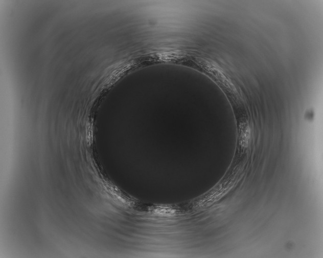 X0000096130471200801251021