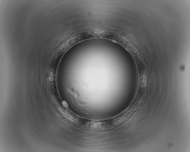 X0000096130472200801251021