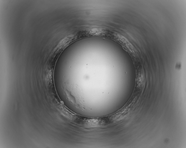 X0000096130473200801251021