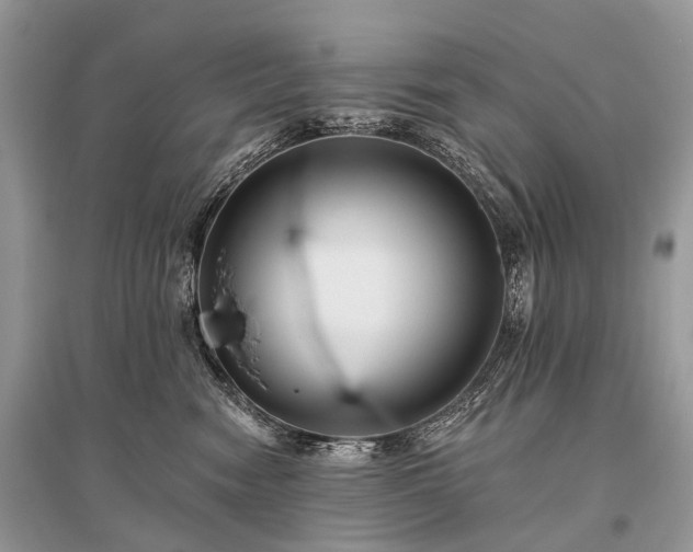 X0000096130474200801251021