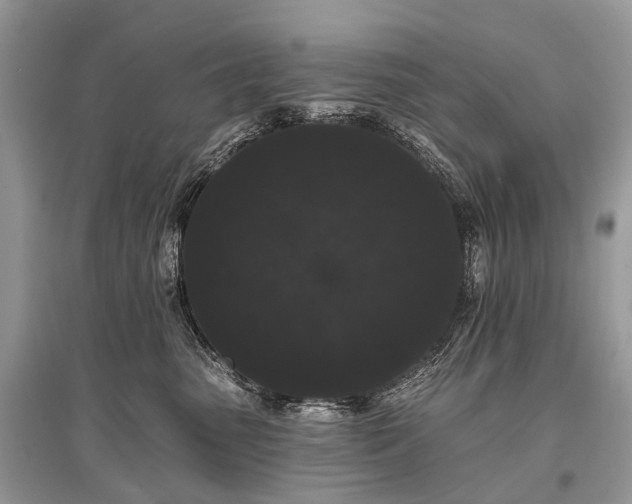 X0000096130475200801251021