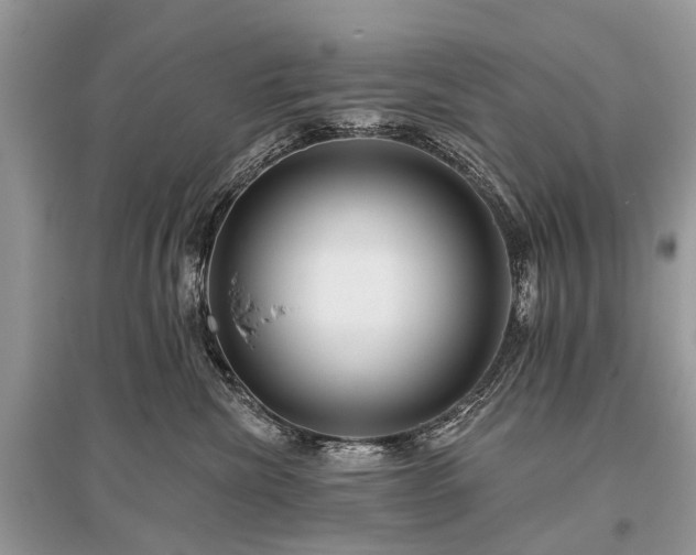X0000096130476200801251021