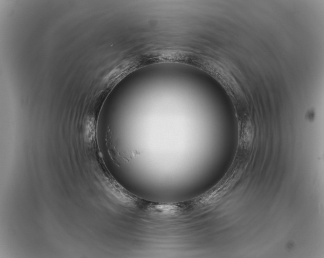 X0000096130478200801251021