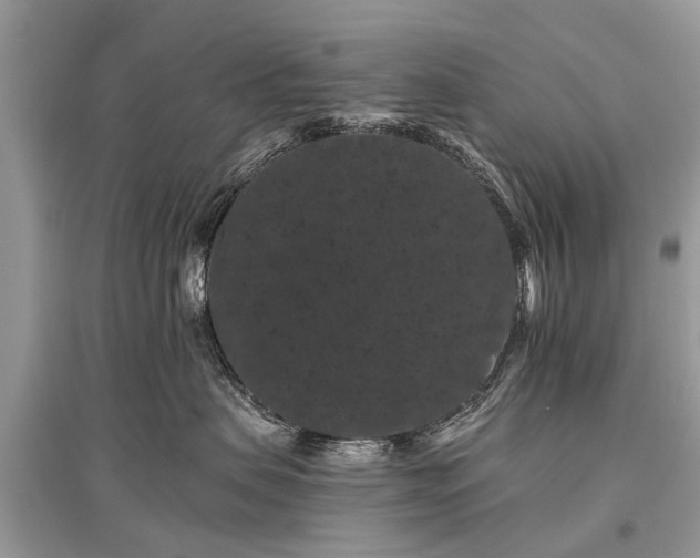 X0000096130479200801251021