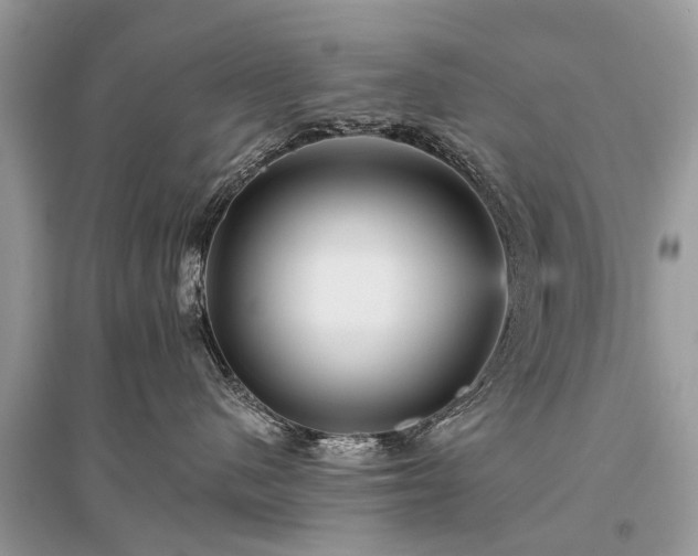 X0000096130480200801251021