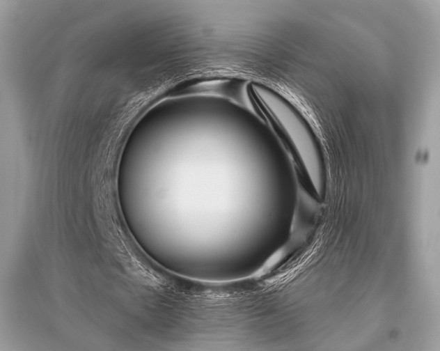 X0000096130481200801251020