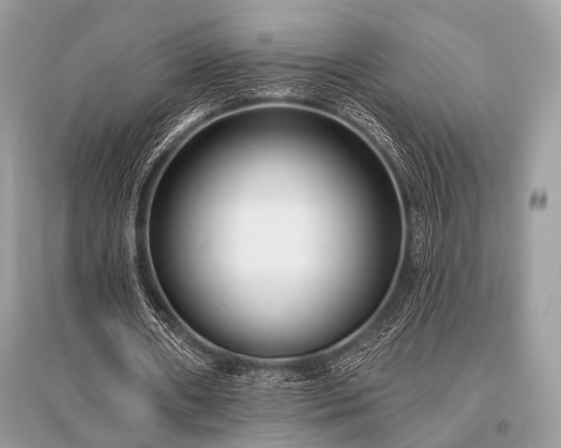 X0000096130482200801251020