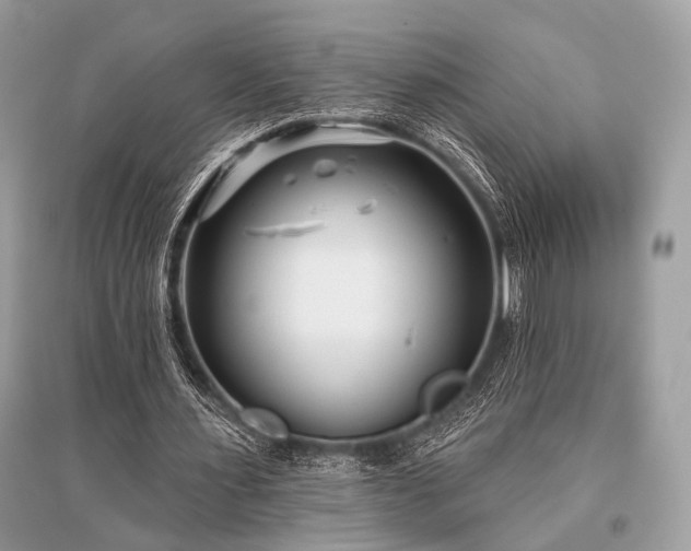 X0000096130483200801251020