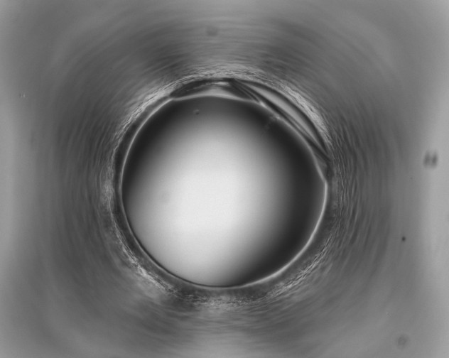 X0000096130485200801251020