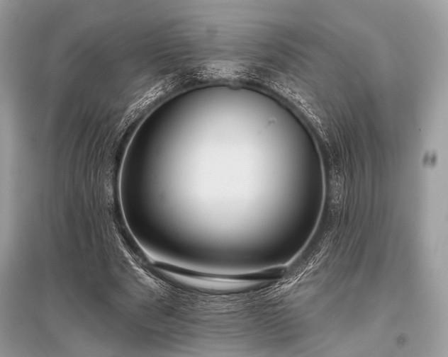 X0000096130489200801251020