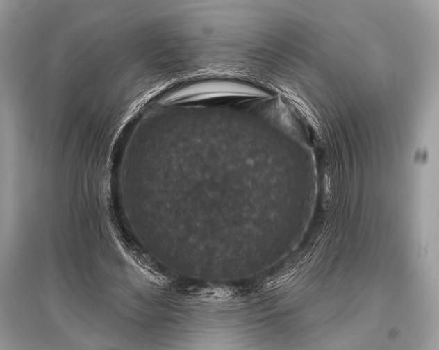 X0000096130492200801251020