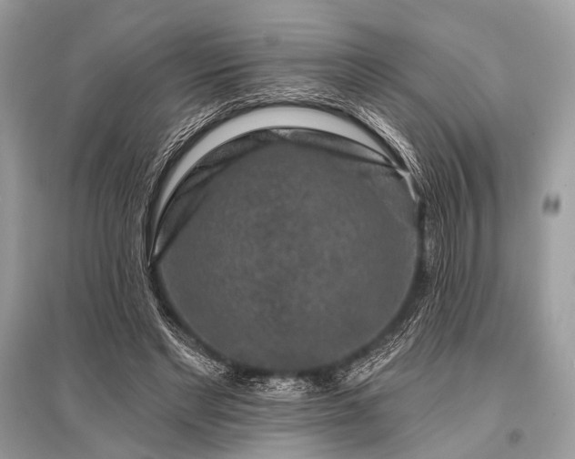 X0000096130493200801251020