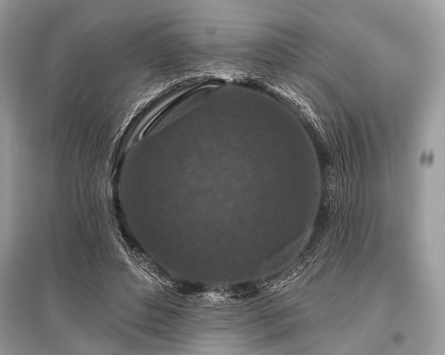 X0000096130496200801251020