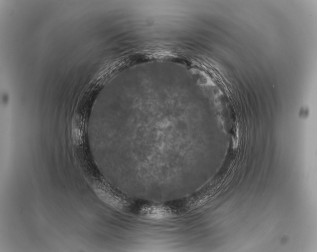 X0000096130503200801251020