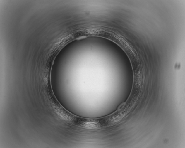 X0000096130505200801251020