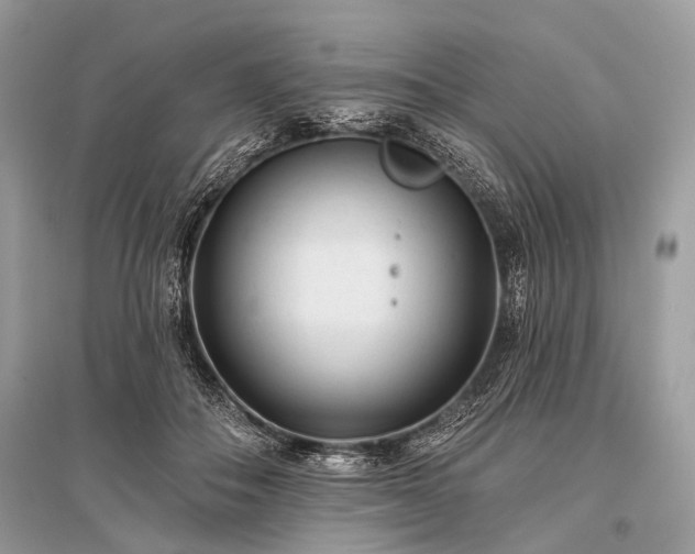 X0000096130506200801251020