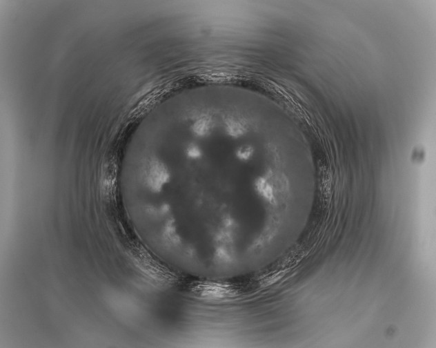 X0000096130507200801251020