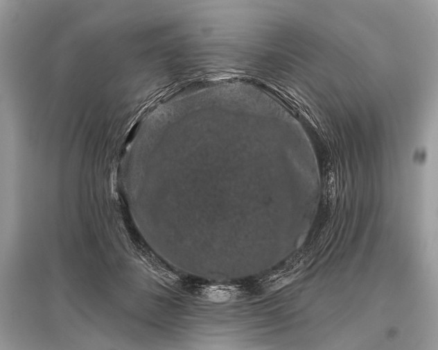 X0000096130508200801251020