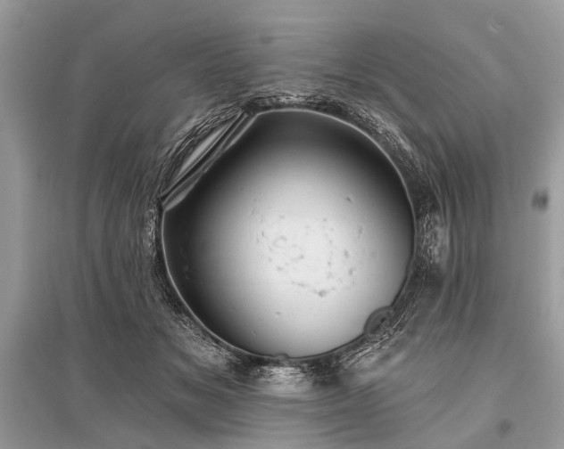X0000096130509200801251020