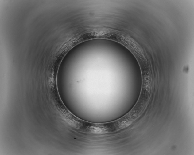X0000096130510200801251020