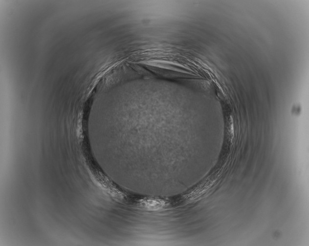 X0000096130512200801251020