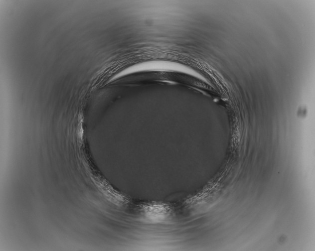 X0000096130513200801251020