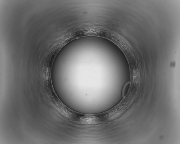 X0000096130514200801251020