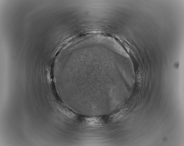 X0000096130516200801251020