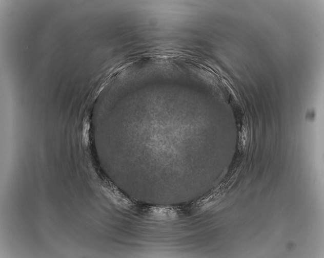 X0000096130520200801251020