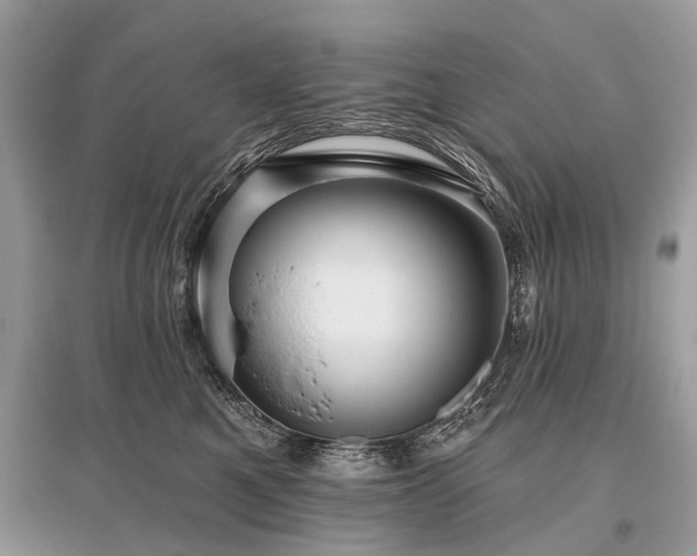 X0000096130521200801251020