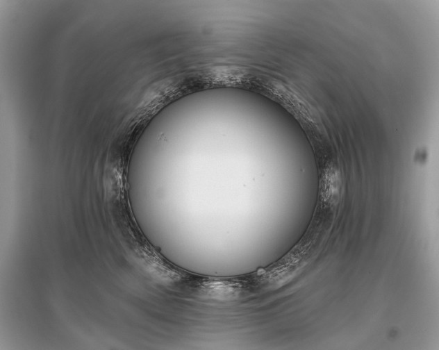 X0000096130522200801251020