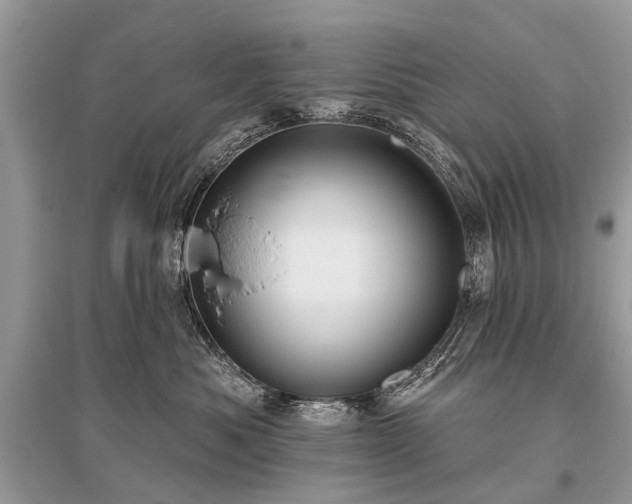 X0000096130525200801251020
