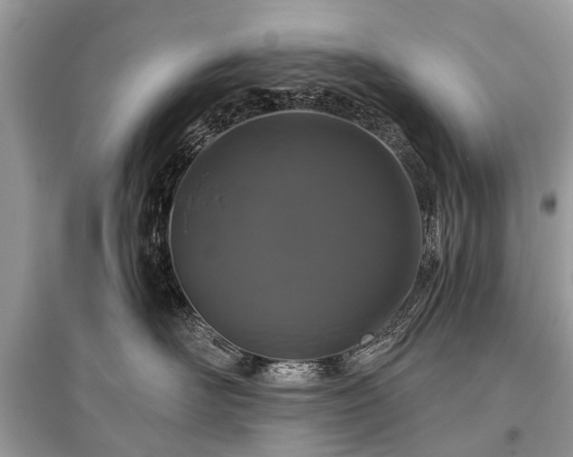 X0000096130526200801251020
