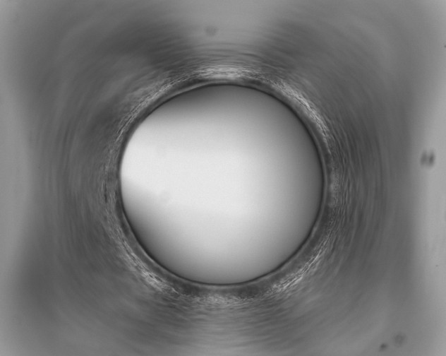 X0000096130529200801251019