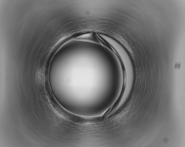 X0000096130530200801251019