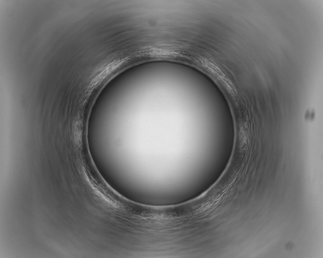 X0000096130533200801251019