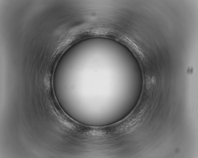 X0000096130537200801251019