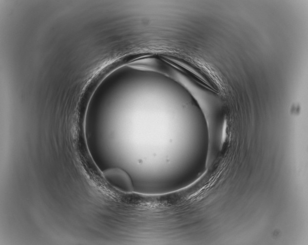 X0000096130540200801251019