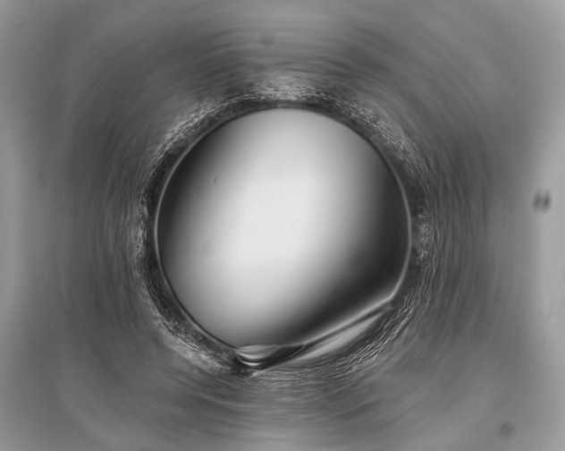 X0000096130544200801251019