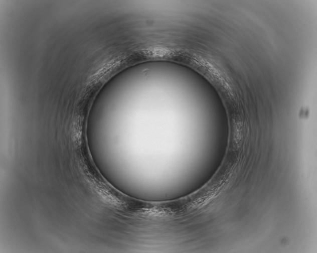 X0000096130545200801251019