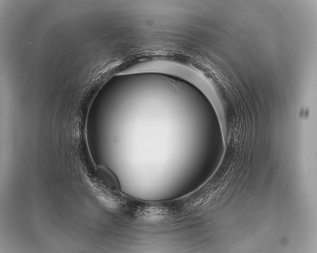 X0000096130546200801251019