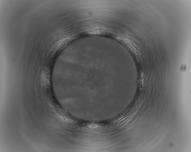 X0000096130547200801251019