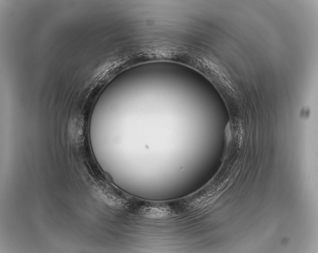X0000096130548200801251019